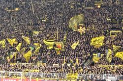 开云体育在线登录-世界杯篮球赛场打响全球体育狂潮的简单介绍